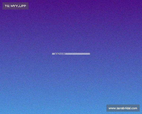 揭秘FIFA2002世界杯隐藏内容与经典彩蛋全解析回顾深度盘点